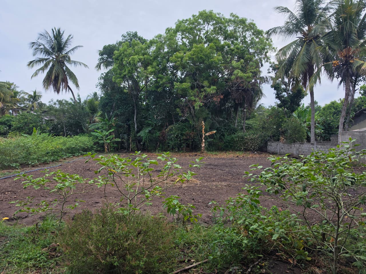 Land for Sale in Bandara Puliyankulama at Bandara Puliyankulama