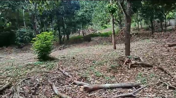 Residential / Commercial Land in Mailapitiya at Mailapitiya, Kandy