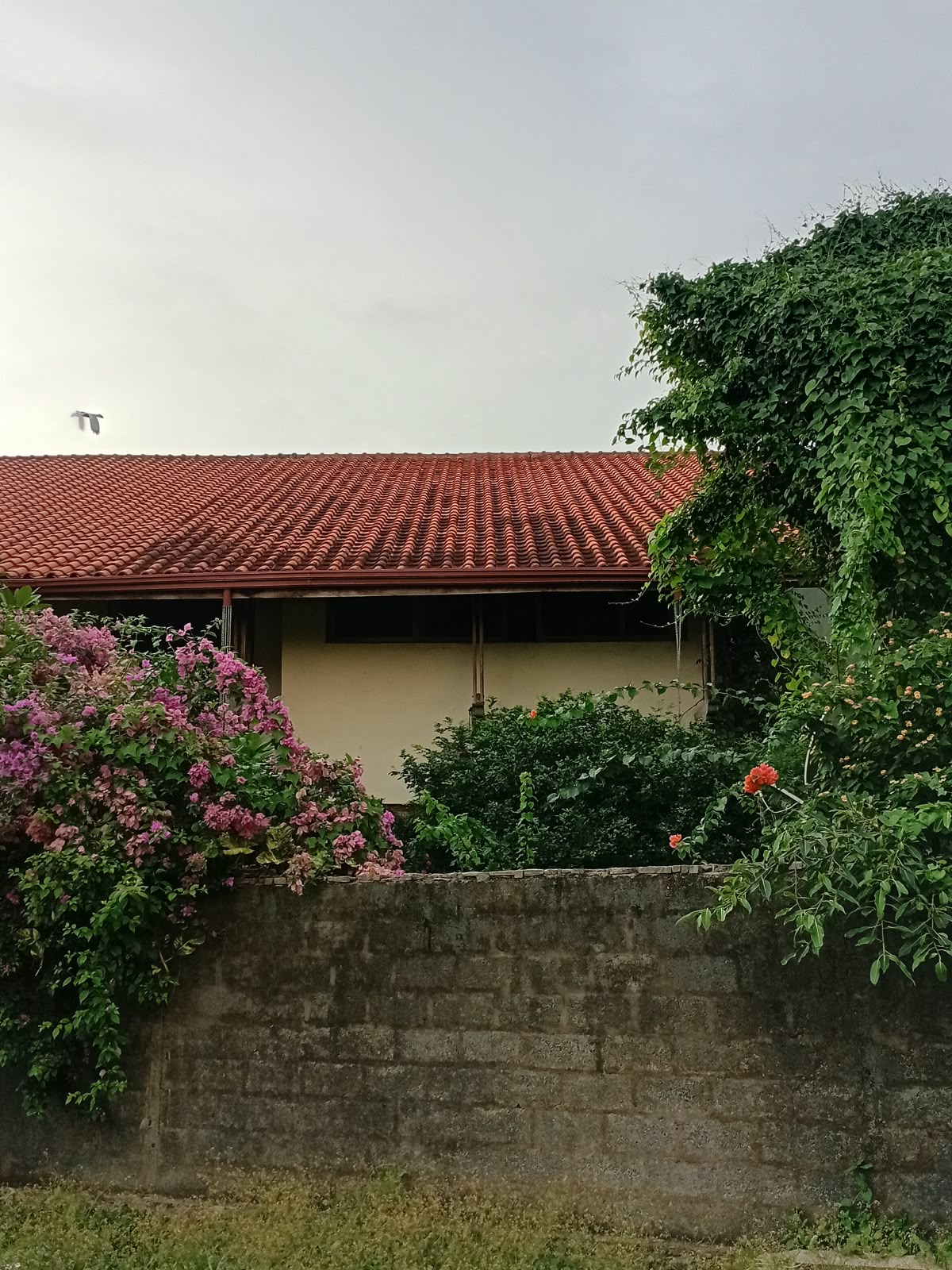 3 Bedroom House on 29 Perches in Negombo at Negombo